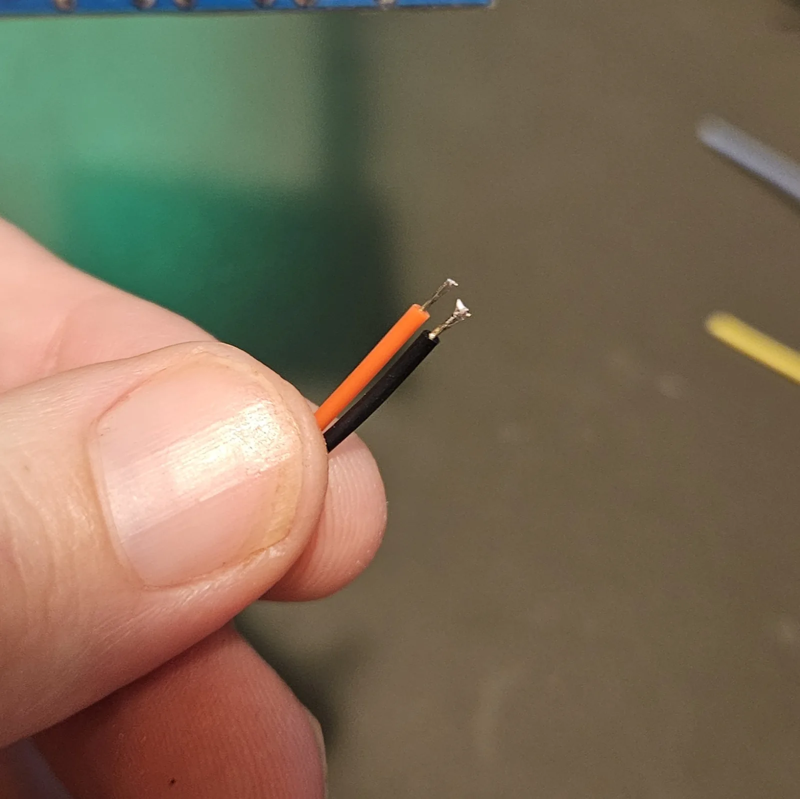 Fingers holding an orange and a black hookup wire side by side, both stripped ends tinned silver so the strands are fused into a single solid tip.